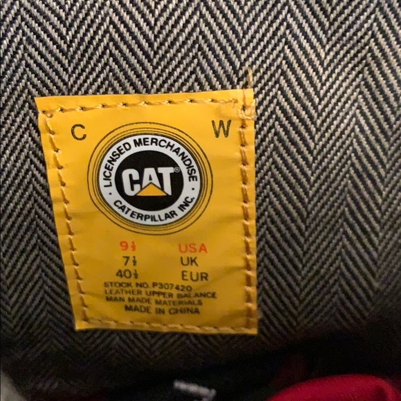 Cat - Picture 6 of 7